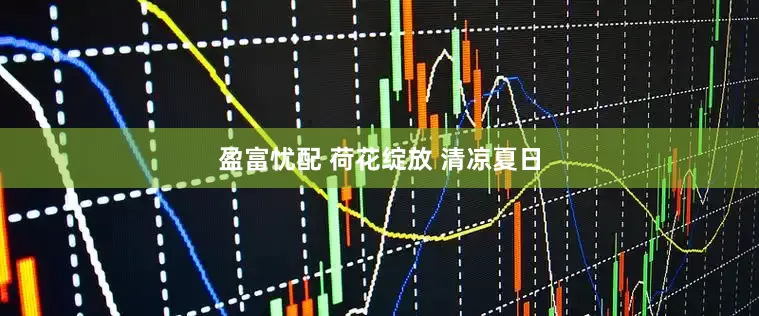 盈富忧配 荷花绽放 清凉夏日