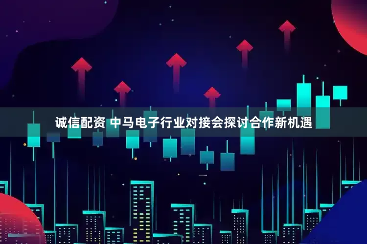 诚信配资 中马电子行业对接会探讨合作新机遇