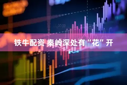 铁牛配资 秦岭深处有“花”开