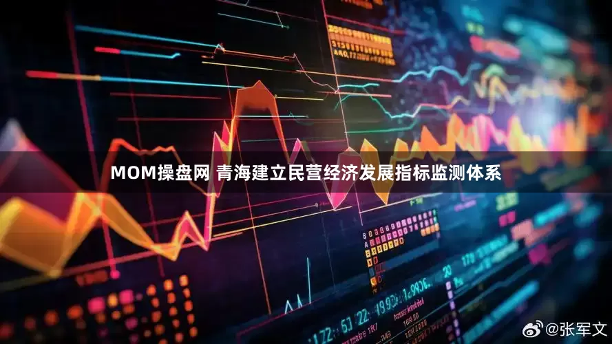 MOM操盘网 青海建立民营经济发展指标监测体系