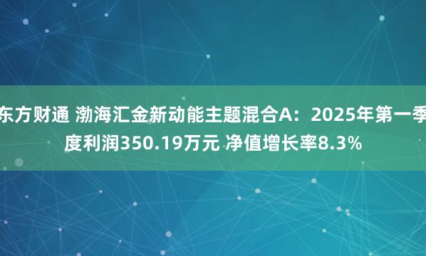 东方财通 渤海汇金新动能主题混合A：2025年第一季度利润350.19万元 净值增长率8.3%