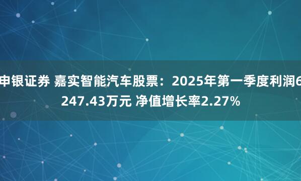 申银证券 嘉实智能汽车股票：2025年第一季度利润6247.43万元 净值增长率2.27%