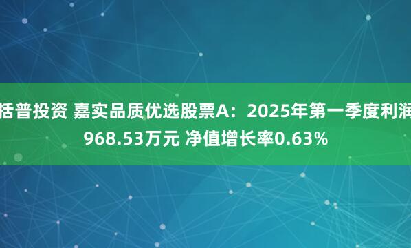 括普投资 嘉实品质优选股票A：2025年第一季度利润968.53万元 净值增长率0.63%