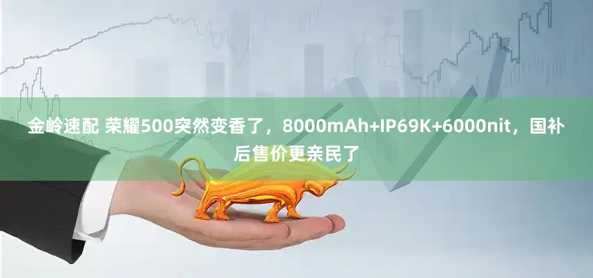 金岭速配 荣耀500突然变香了,8000mAh+IP69K+6000nit,国补后售价更亲民了